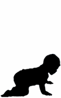 zedfly animation